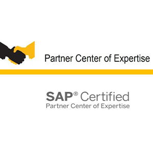 SAP Partner