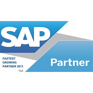 SAP Partner