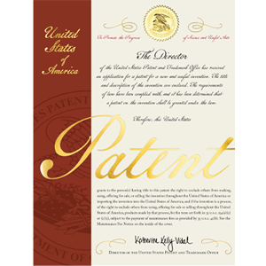 US Patent